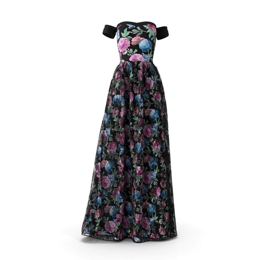 Black Women's Gown 2