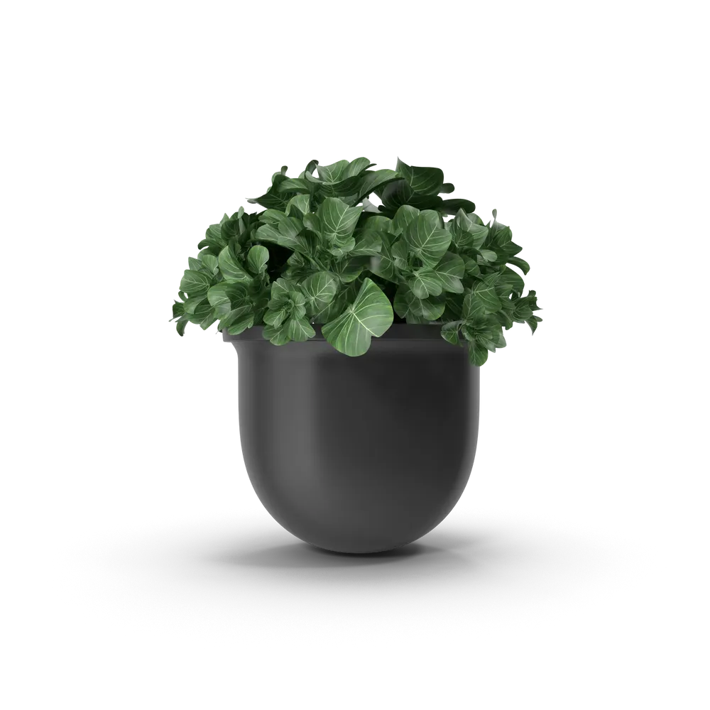 Plant Pot 3